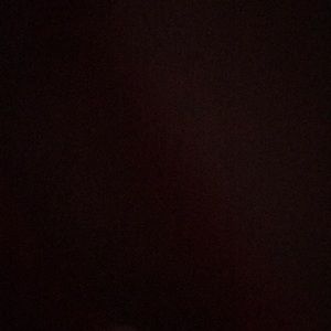 Meet your Posher, Kyra